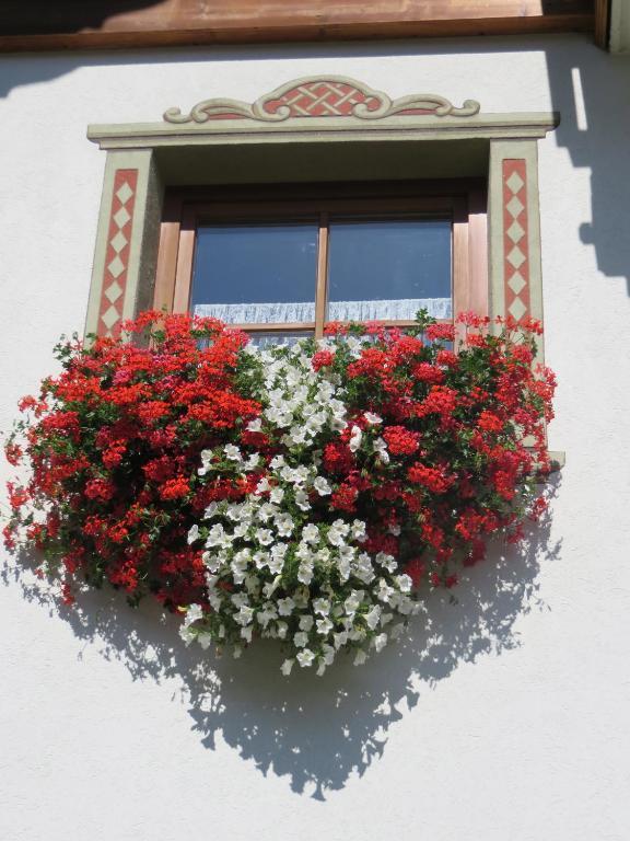 Gaestehaus Rettenbacher Fulpmes Pokoj fotografie