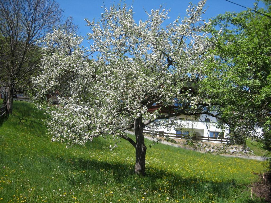 Gaestehaus Rettenbacher Fulpmes Exteriér fotografie
